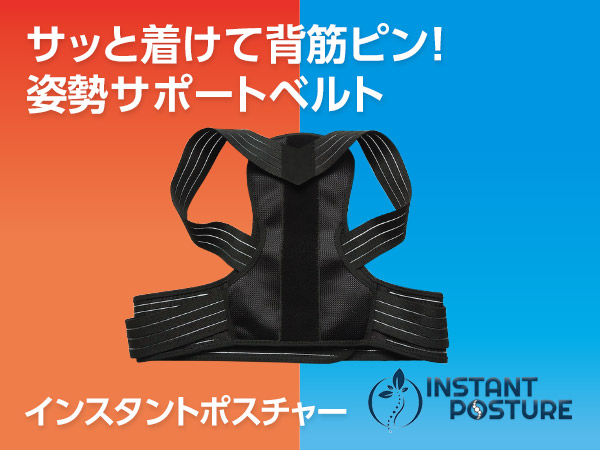 ソフトシッター