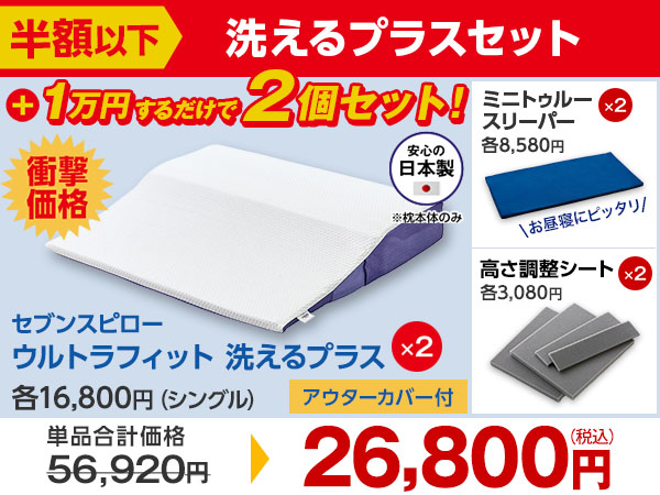 洗えるプラス 2個セット（半額以下）