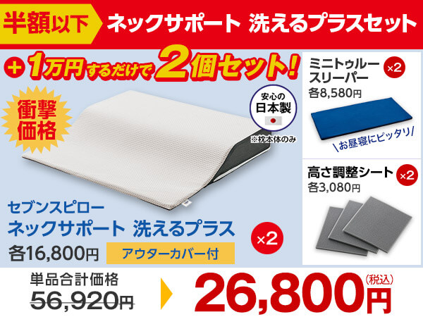 洗えるプラス 2個セット（半額以下）