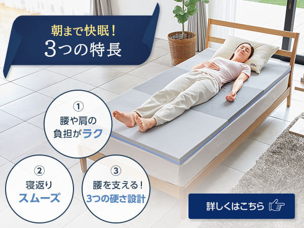 新品2点＋カバー付】トゥルースリーパー エア 厚さ5cm 低反発万能