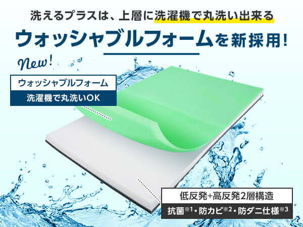 公式】トゥルースリーパー プレミアリッチ洗えるプラス（低反発