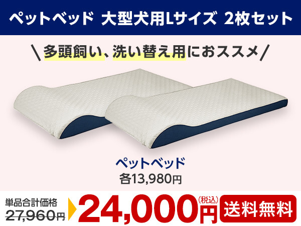 トゥルースリーパー【大阪市手渡し→値下げ可】 ショップジャパン】トゥルースリーパーのキャンペーン＆お得な情報を