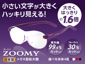メガネ型拡大鏡　ズーミイ